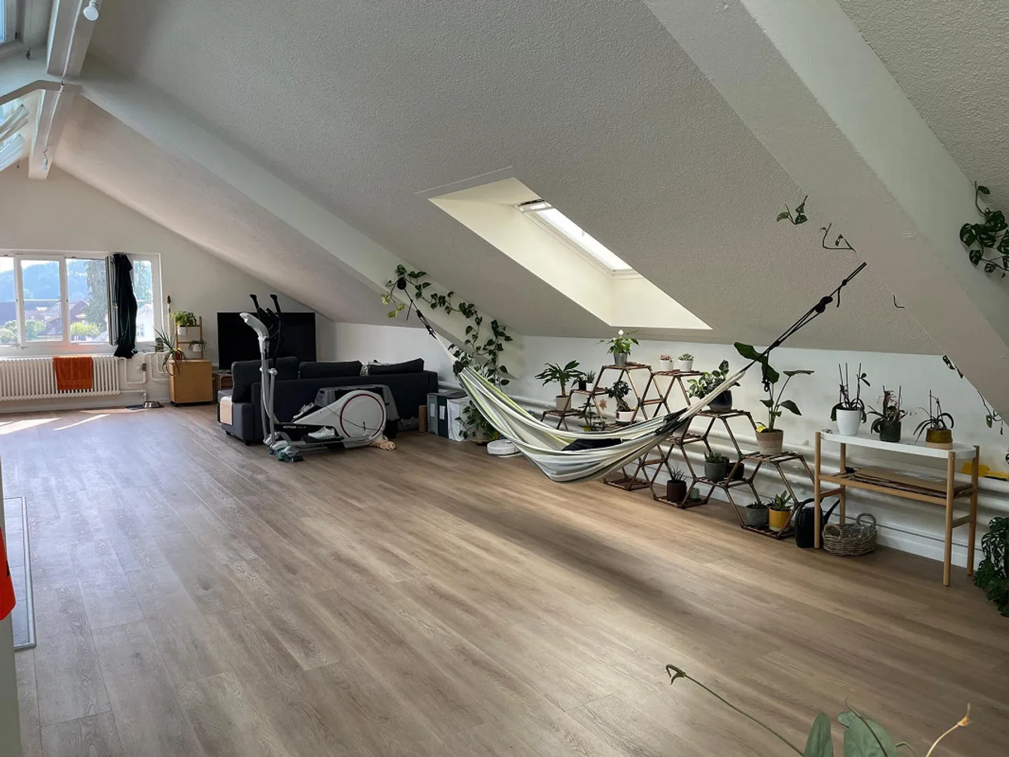 Appartement 1.0 pièce à Wangen an der Aare - Photo 2 sur 6