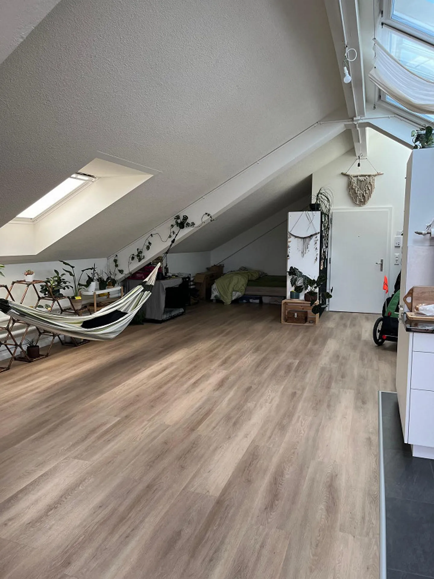 Appartement 1.0 pièce à Wangen an der Aare - Photo 5 sur 6