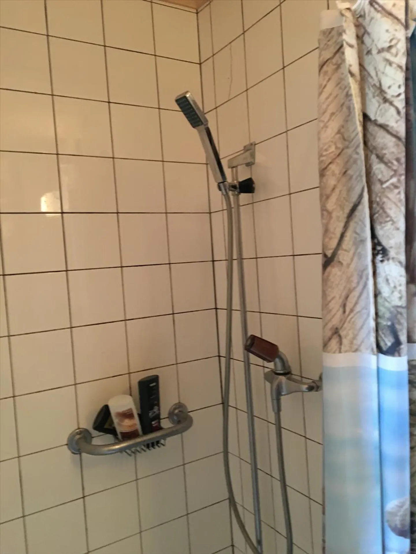 1.5 Room Apartment - Photo 2 of 5