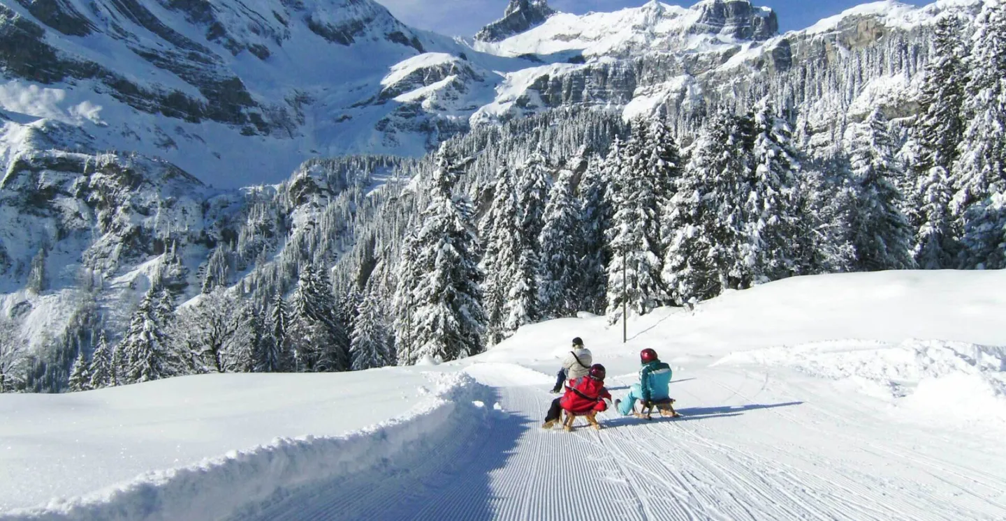 Chalet mit viel Potenzial im autofreien Braunwald - Photo 13 of 15