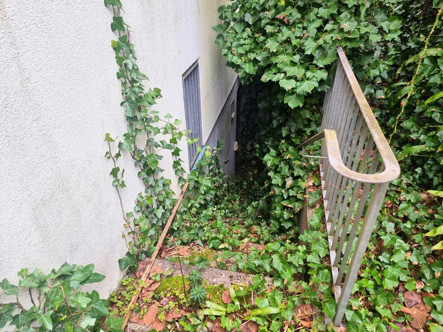 Charmantes Einfamilienhaus in Riehen - Foto 17 von 22