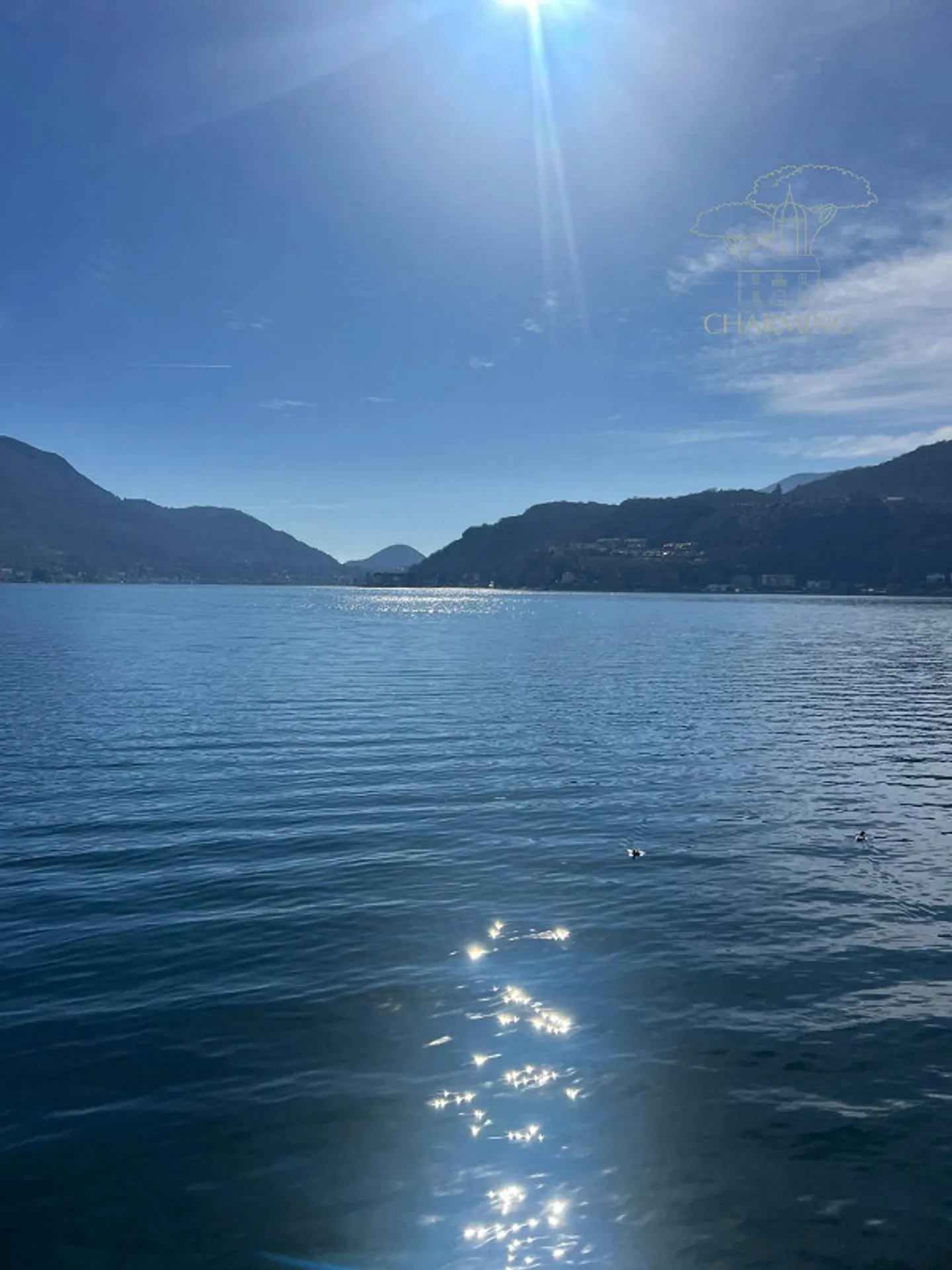 Attic - Morcote - Photo 7 of 13