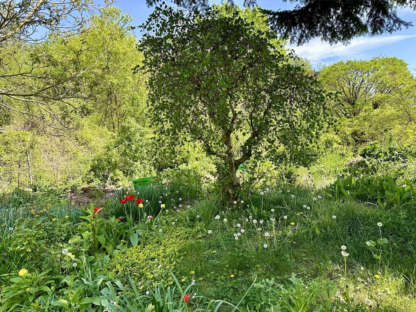 Maisonette 5,5-r. con una vista panoramica da sogno, in un villaggio tranquillo e orientato alla natura - Foto 14 di 14