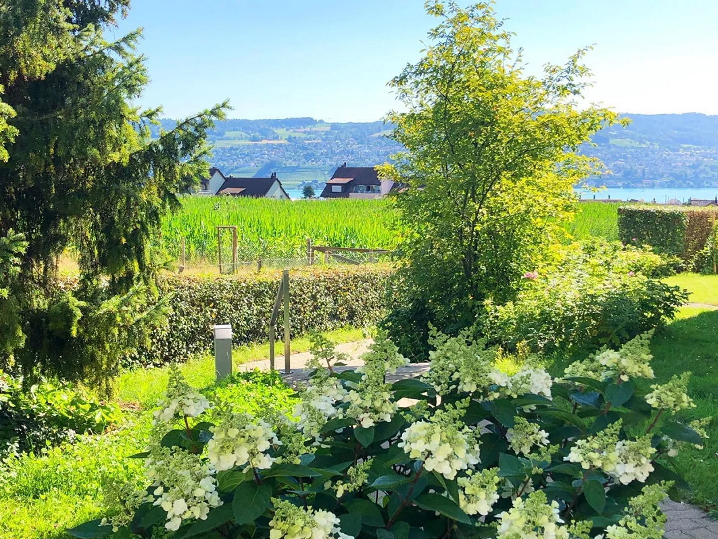 Charming Apartment by Lake Zurich - Photo 4 of 14