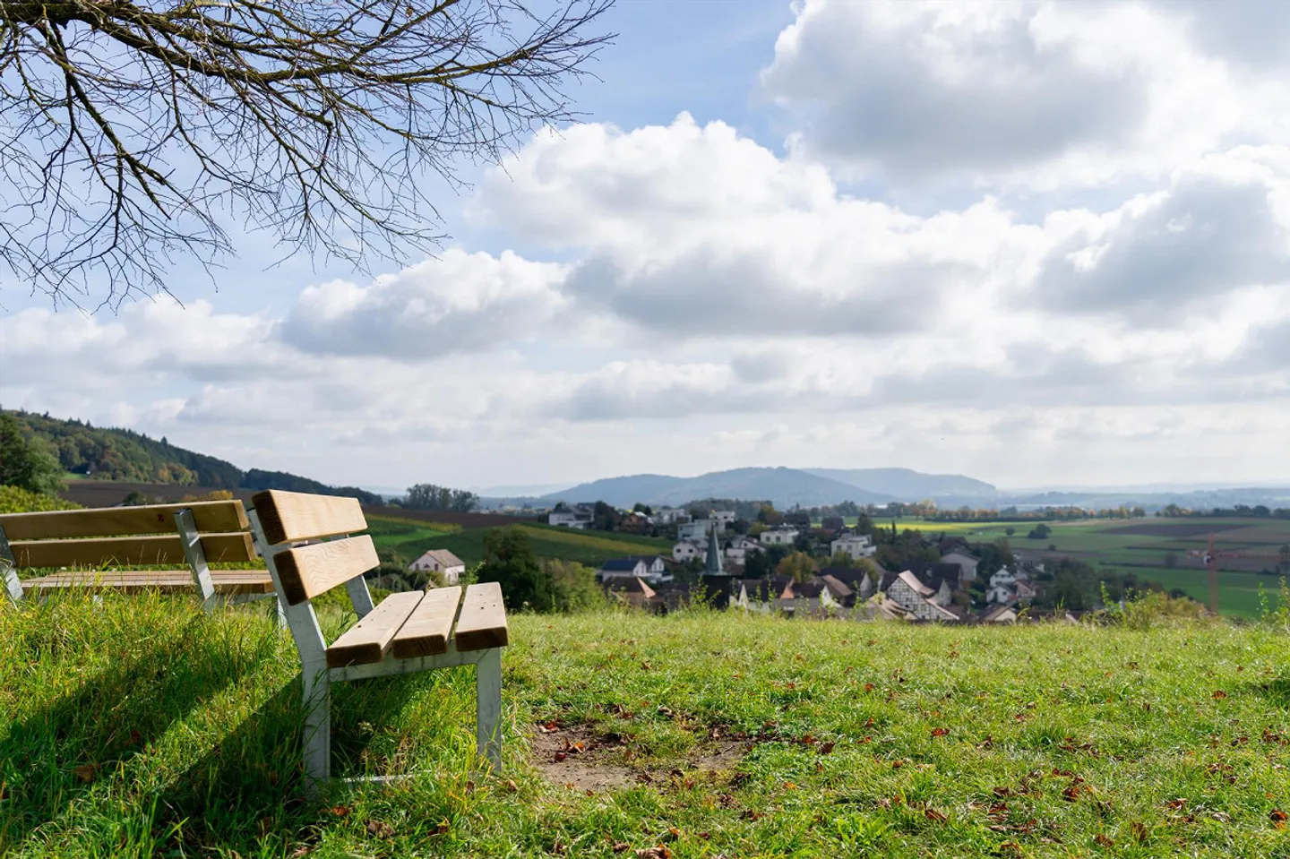 Modern 5.5-room terraced house in the quiet village center of Dörflingen - Photo 6 of 8
