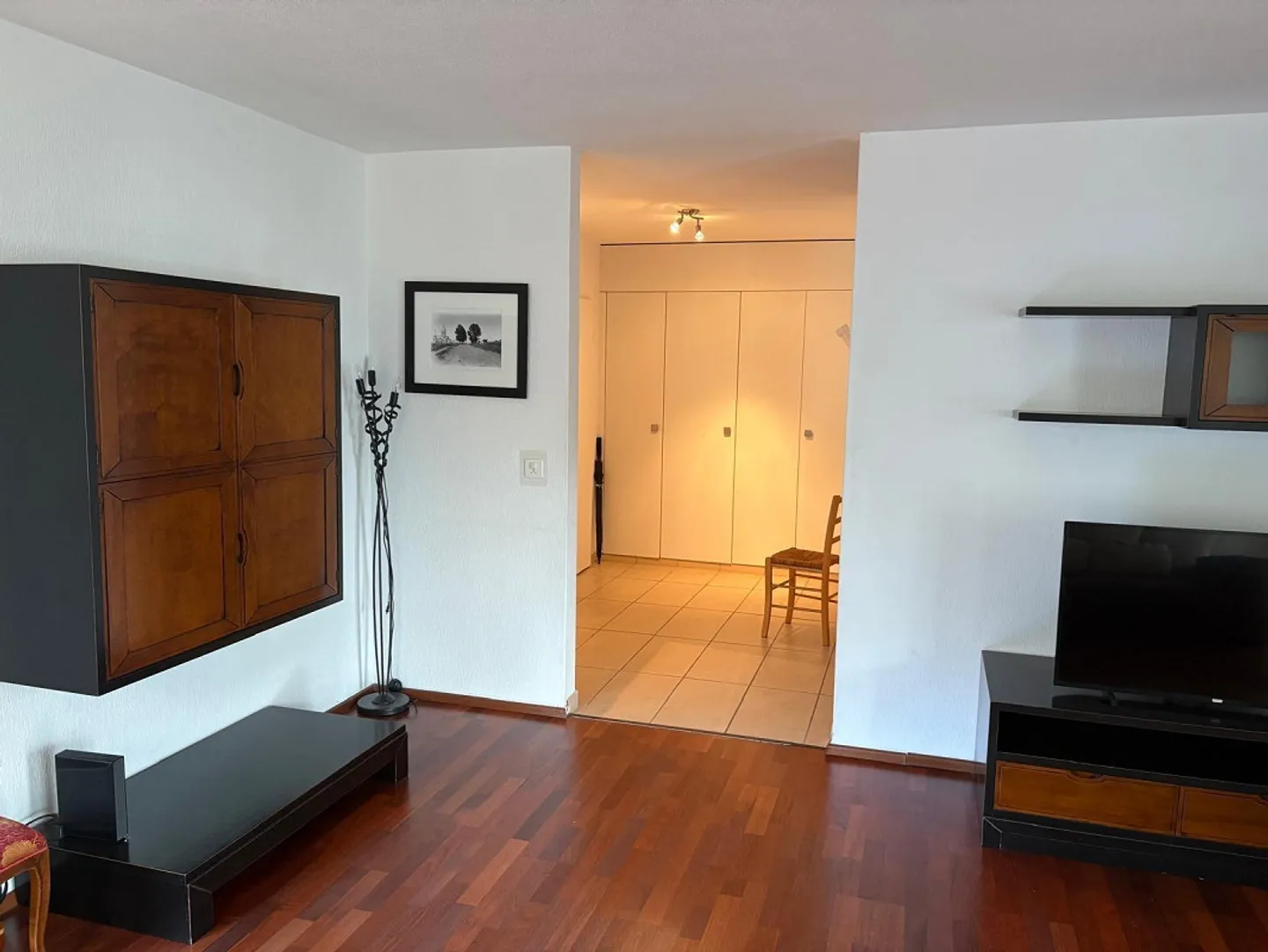 Charming Apartment by Lake Zurich - Photo 8 of 14