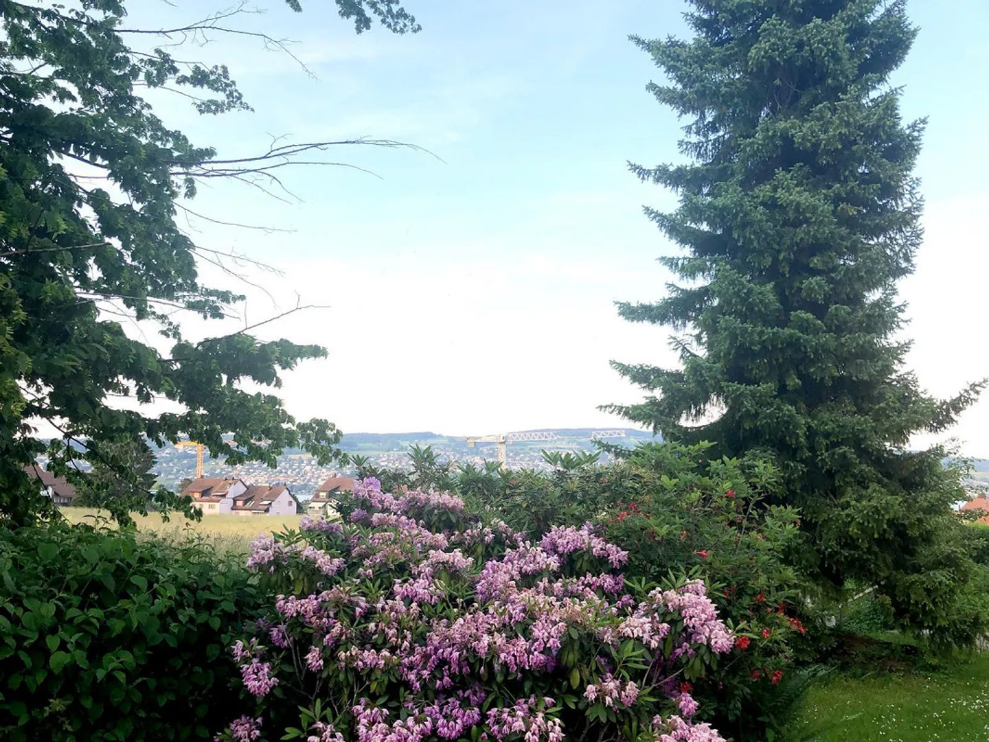 Charming Apartment by Lake Zurich - Photo 11 of 14