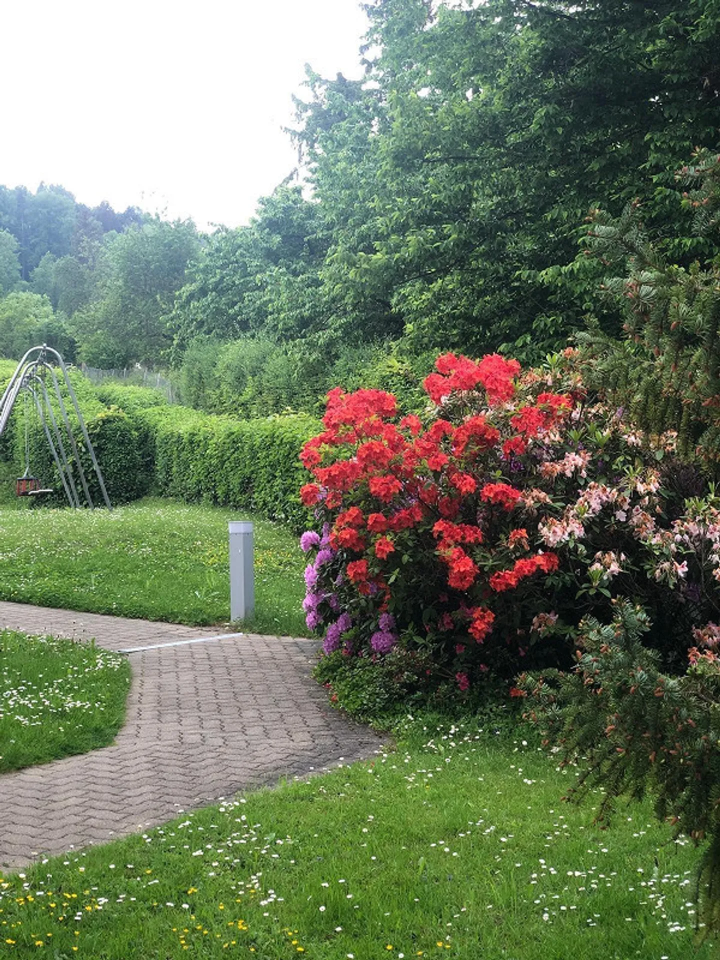 Charming Apartment by Lake Zurich - Photo 13 of 14