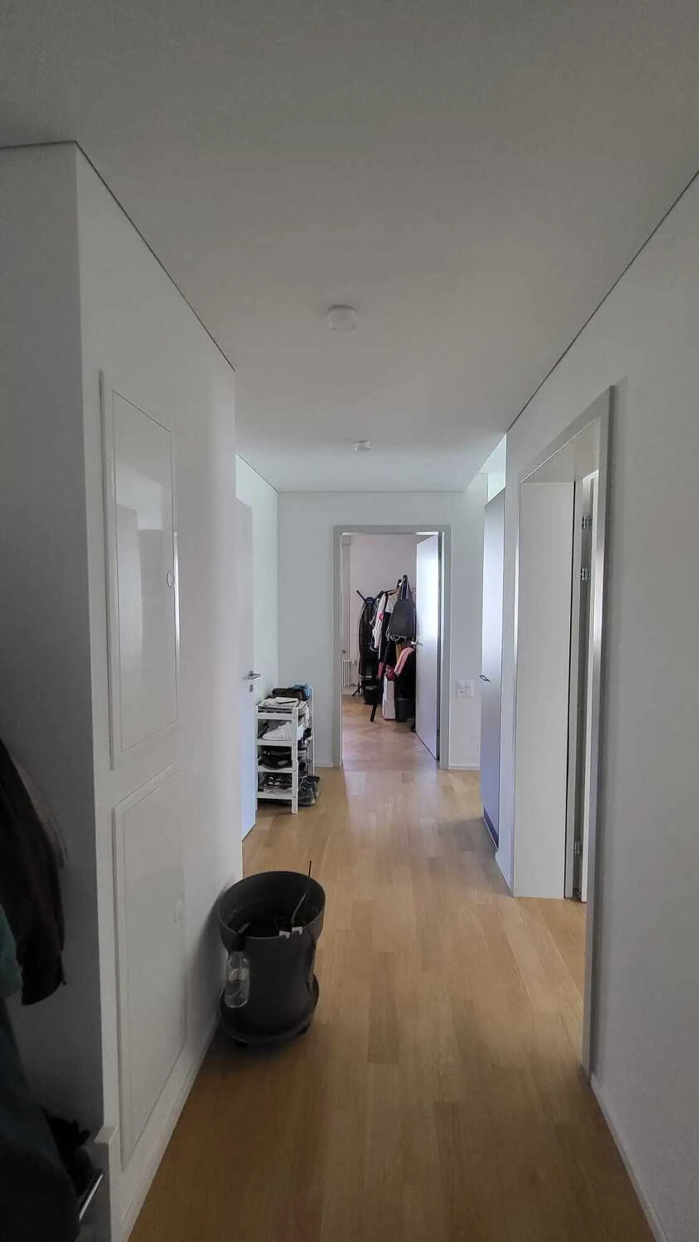 APPARTAMENTO 4 STANZE A BERN - SANDRAIN, ARREDATO, TEMPORANEO - Foto 5 di 9