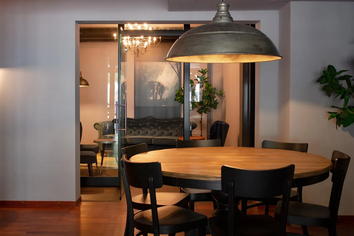 Neue Elefanten Bar / Lounge / Boulevard-Terasse bekannt & ertragreich - Foto 7 von 11