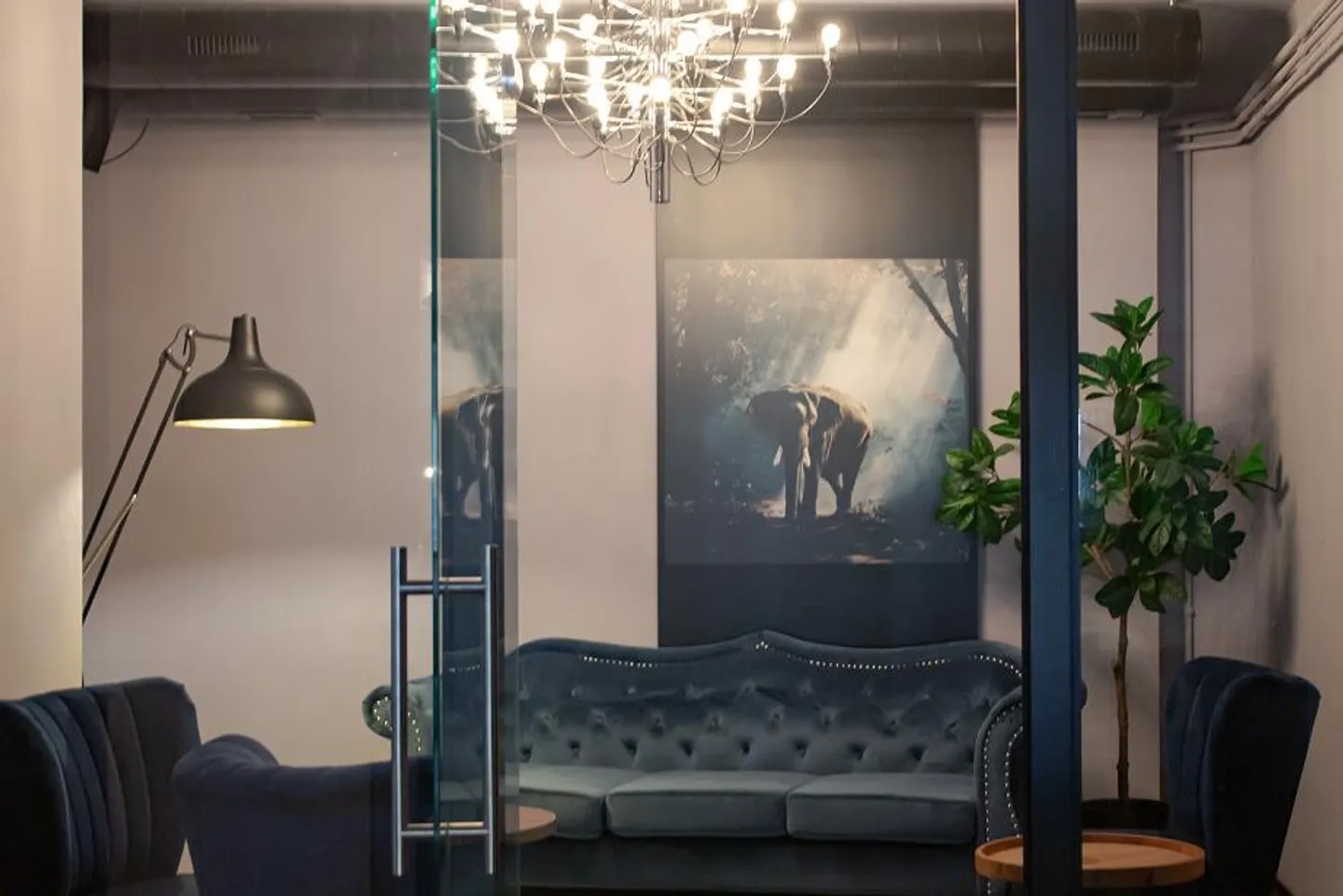 Neue Elefanten Bar / Lounge / Boulevard-Terasse bekannt & ertragreich - Foto 8 von 11