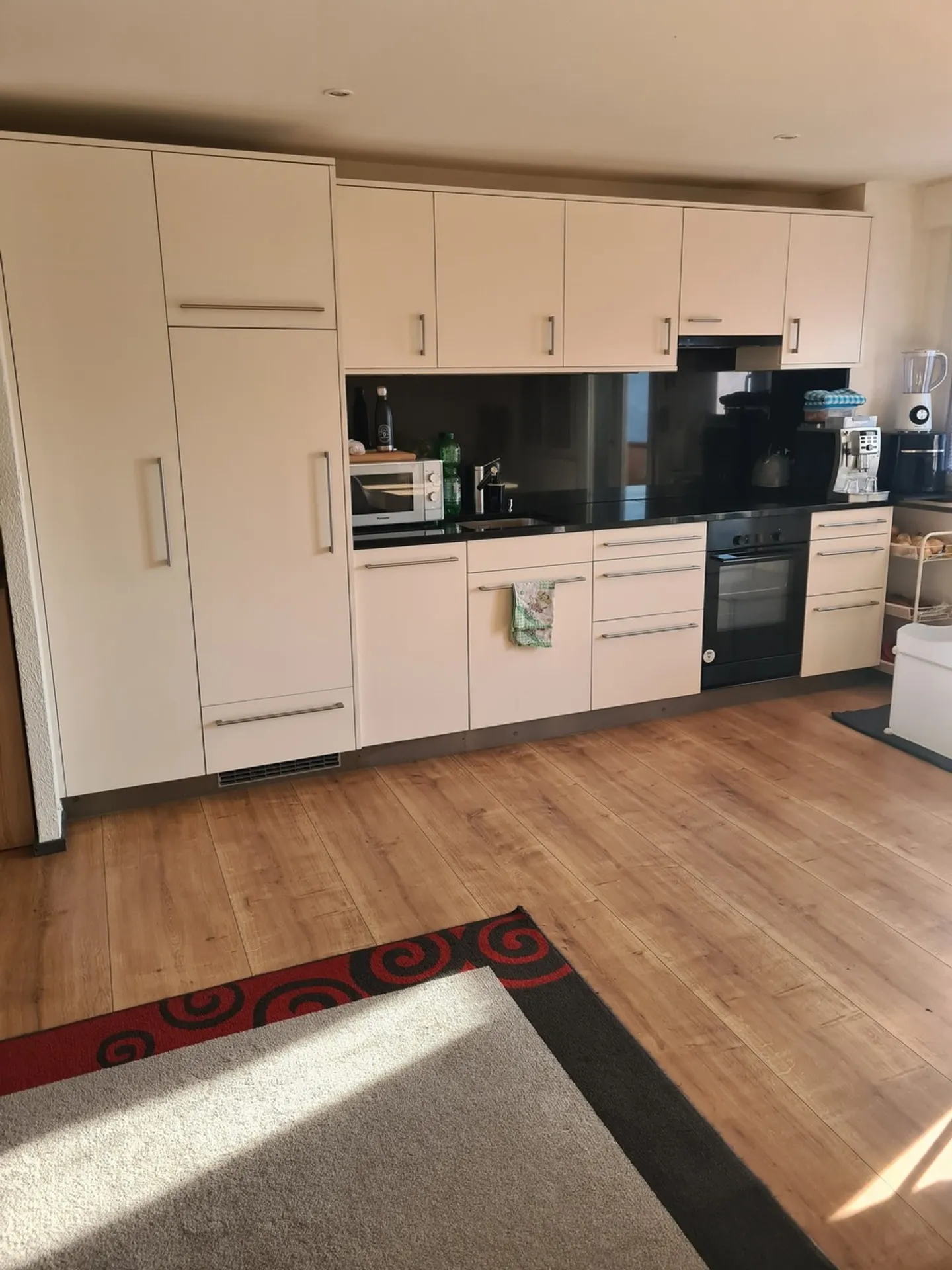 Unfurnished South/North Apartment for Rent Year-Round in Montana - Photo 3 of 12