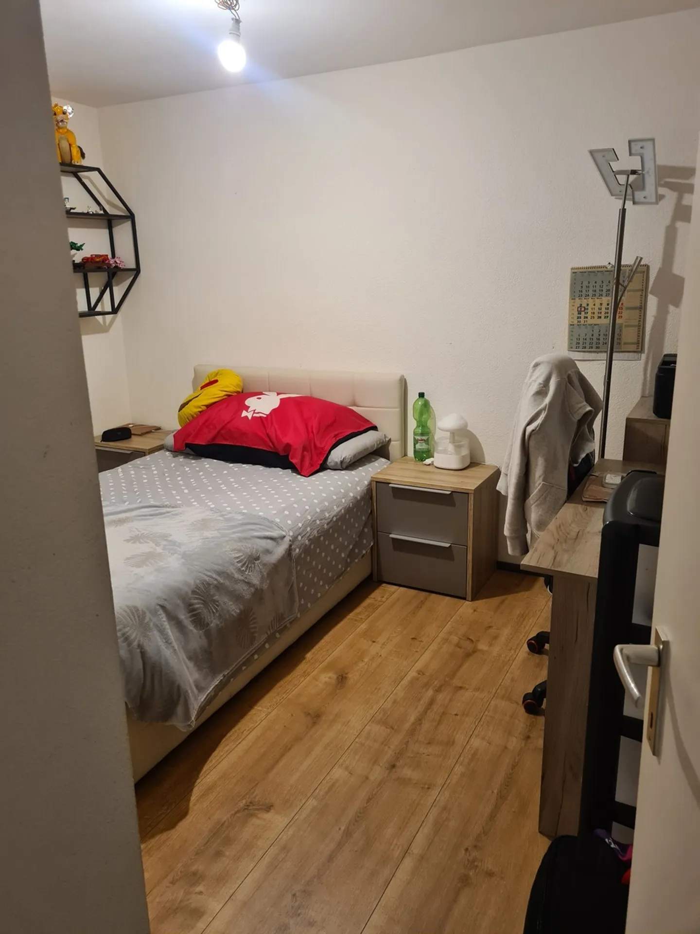 Unfurnished South/North Apartment for Rent Year-Round in Montana - Photo 11 of 12