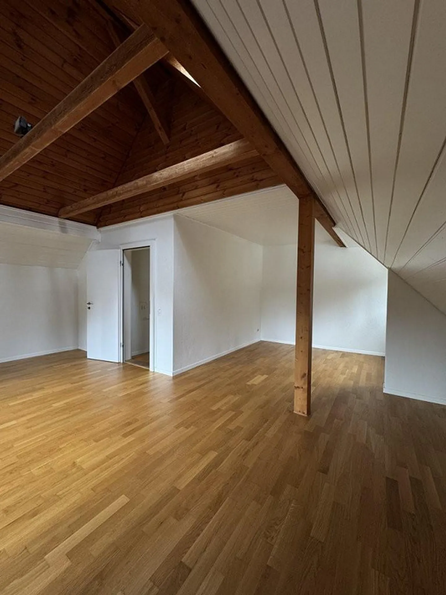 Appartamento 2 locali a Zollikerberg cercasi? - Foto 3 di 7