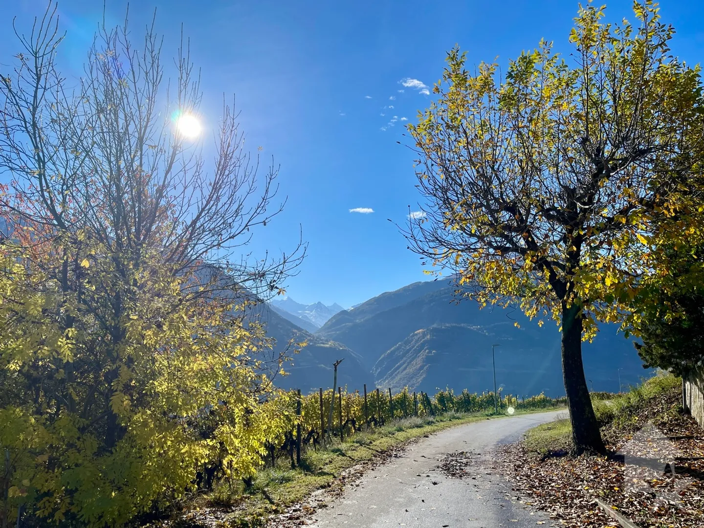 Promozione di 2 ville a schiera di 4,5 stanze in zona tranquilla, vista panoramica - Foto 7 di 9