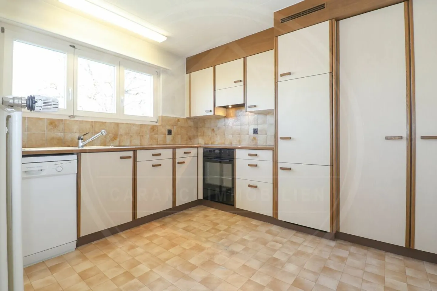 RISERVATO - Potenziale e Idillio a Mellingen - Foto 2 di 11