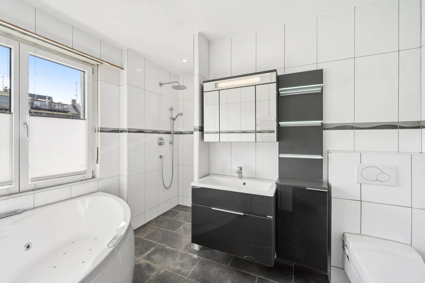 Rare Opportunity: Dream Home in the Center of Basel - Photo 5 of 7