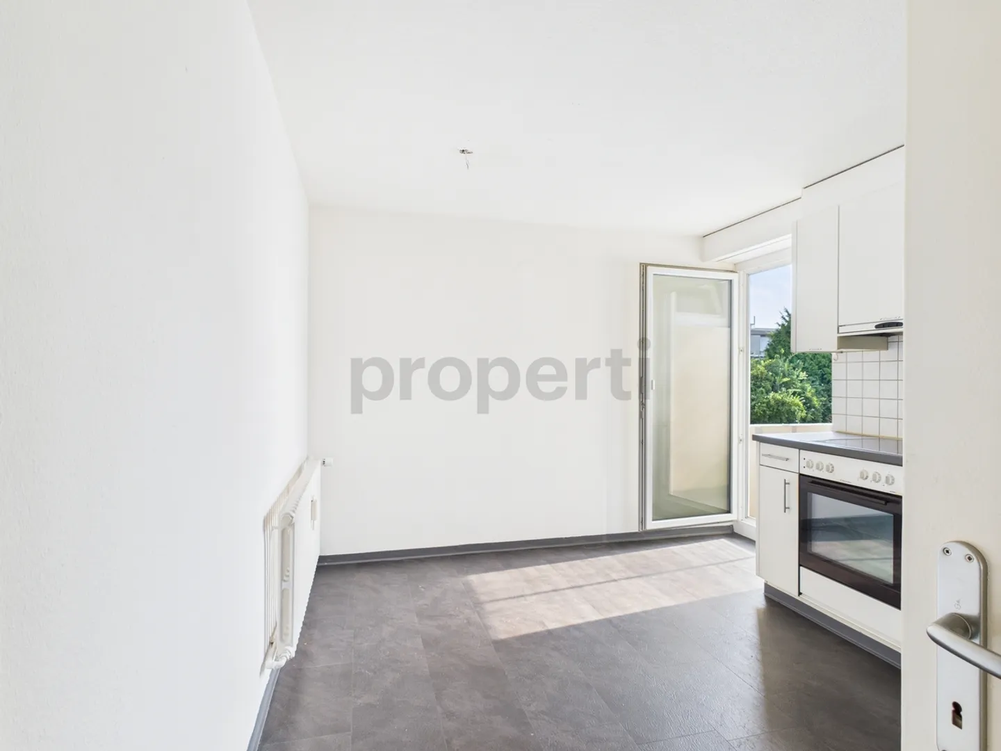 Bright 4-Room Apartment in Sankt Margrethen - Photo 4 of 12