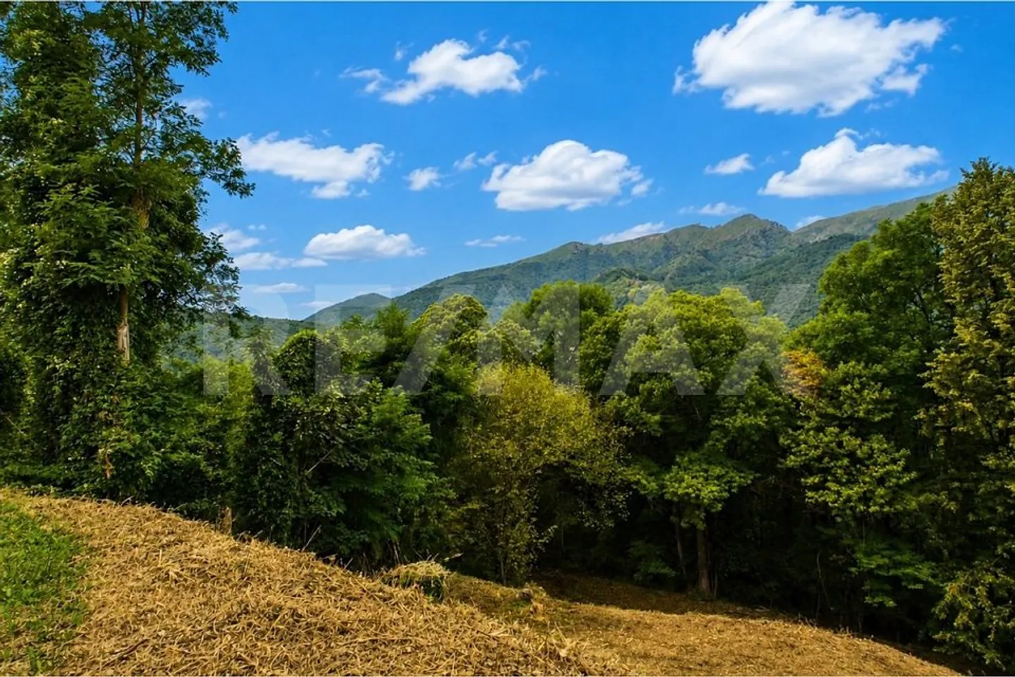 Constructible plot for sale - Photo 8 of 13