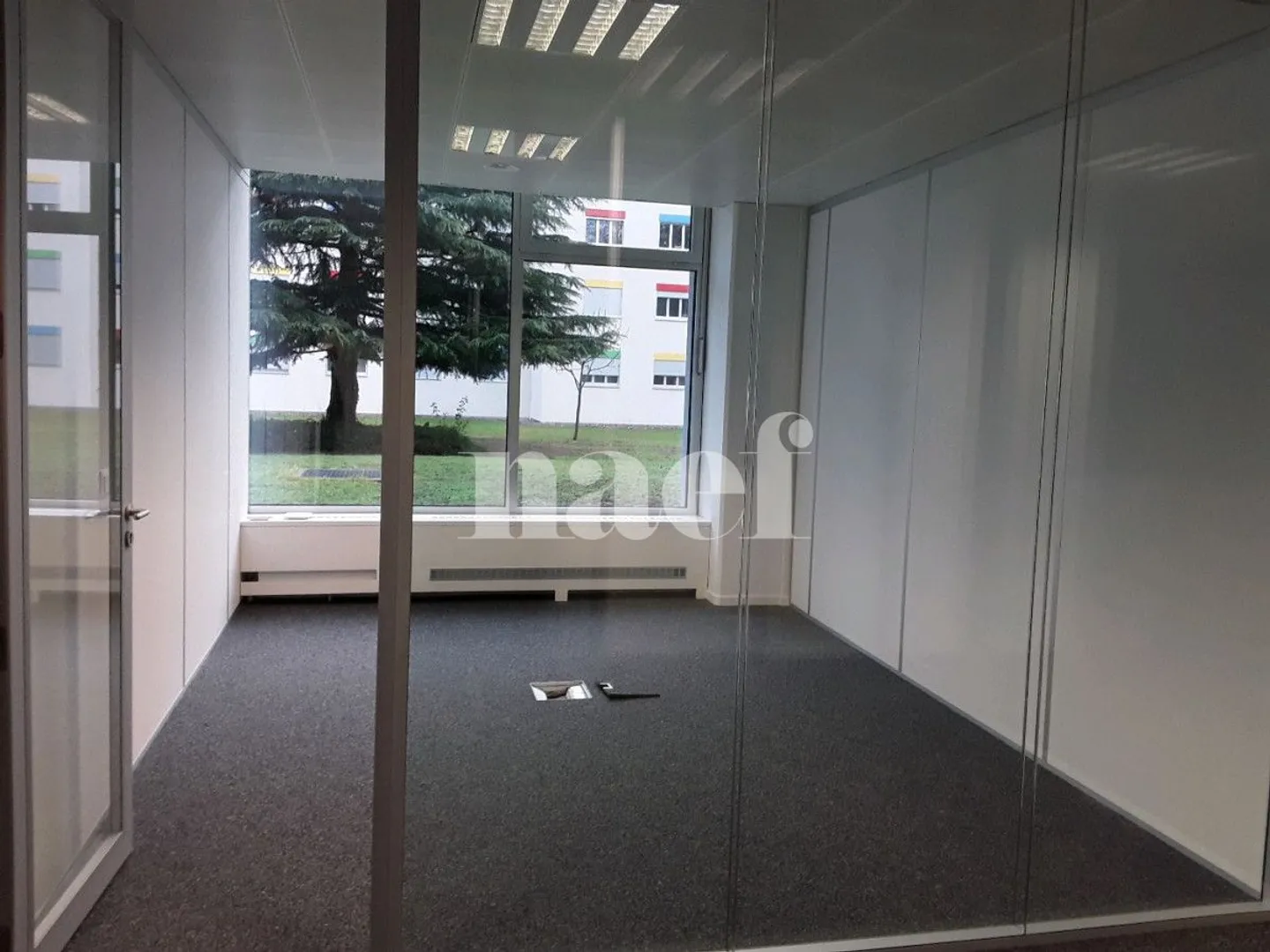 VERSOIX - Bright offices of approx. 262 m² ? Ground floor - Photo 3 of 7