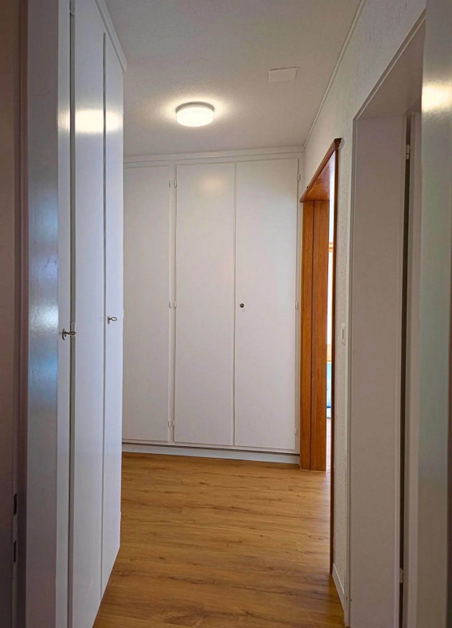 Appartement 4½ pièces ensoleillé et rénové à Hünibach ! - Photo 5 sur 13