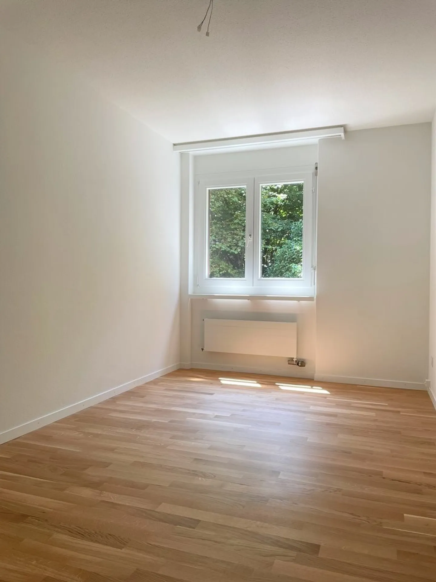 3.5 Room Apartment - Photo 8 of 10