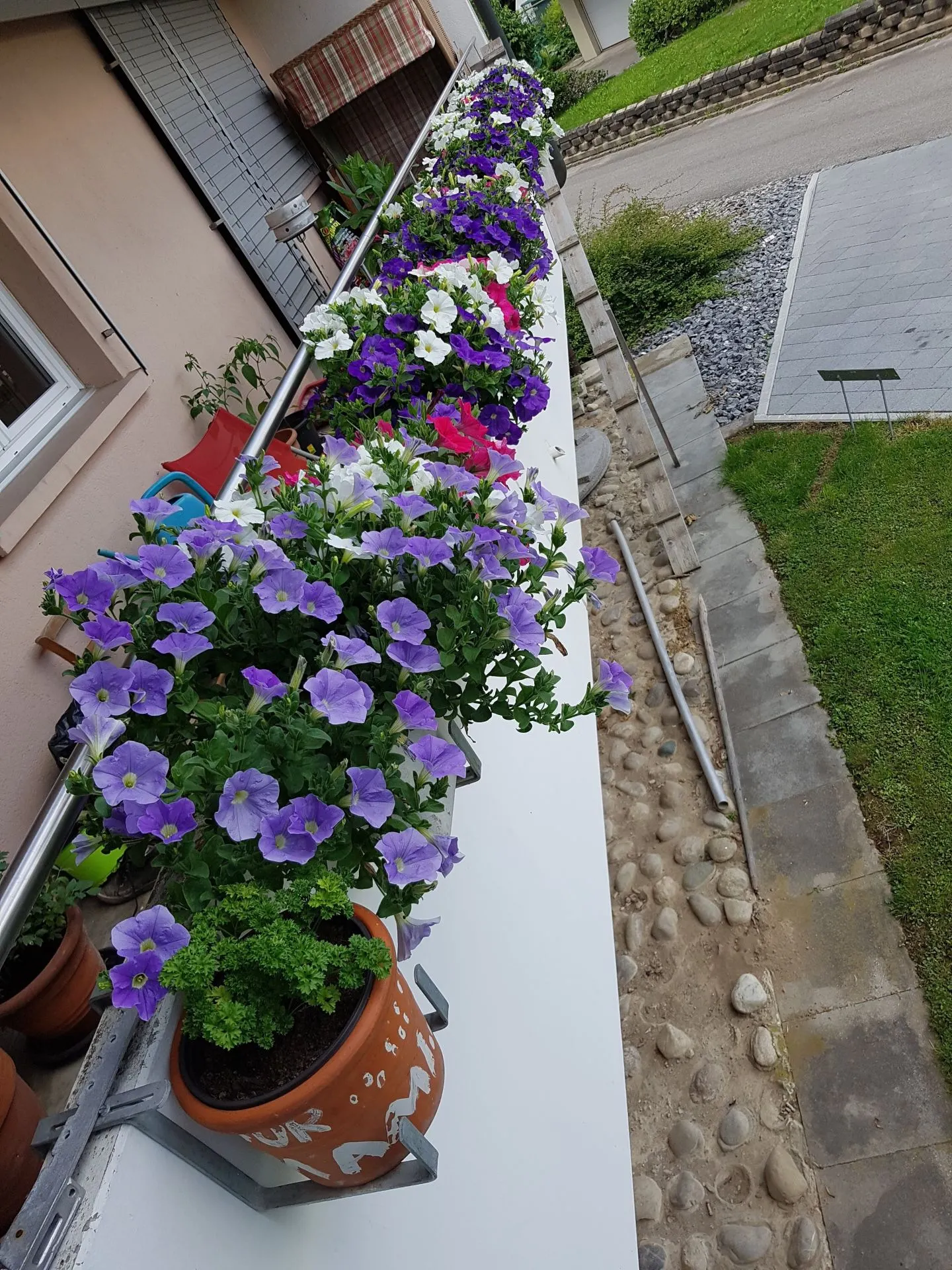 Superbe appartement de 5,5 pièces - Photo 14 sur 15