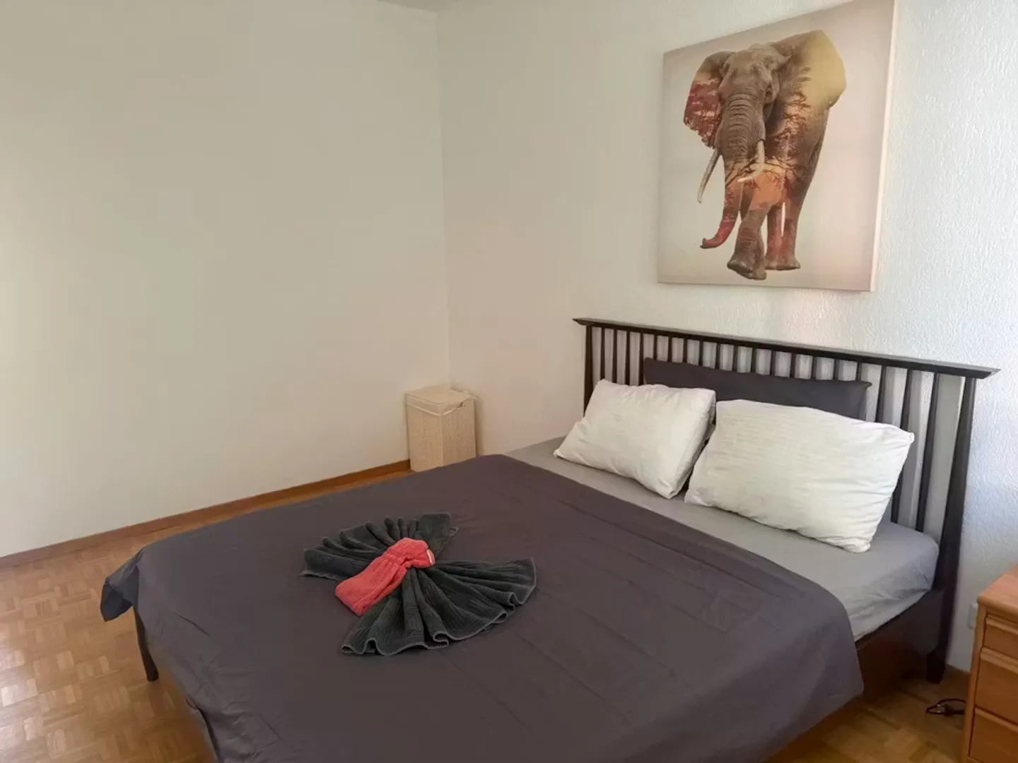 Charming Apartment in Zürich - Photo 5 of 10