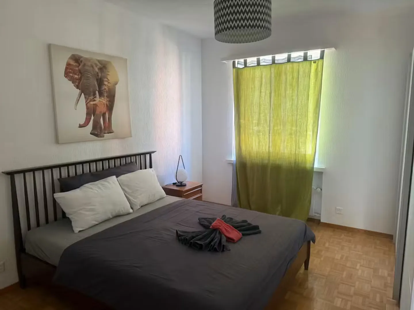 Charming Apartment in Zürich - Photo 7 of 10