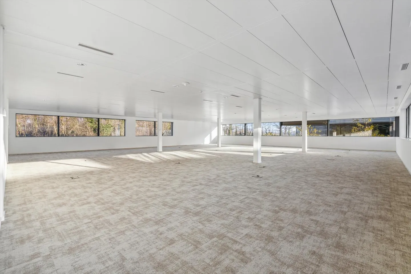 Büros zur Miete ab 48 m2 auf dem Terre-Bonne-Gelände - Foto 8 von 8