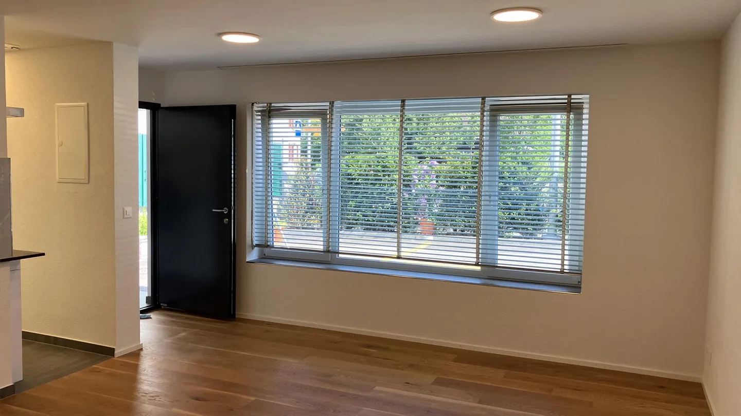 Bright, Modern 1 Room Studio on the Ground Floor in Amlikon-Bissegg - Photo 2 of 5