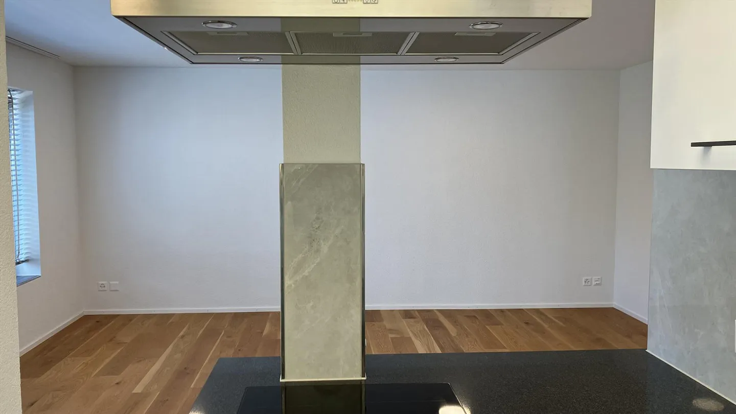 Bright, Modern 1 Room Studio on the Ground Floor in Amlikon-Bissegg - Photo 3 of 5