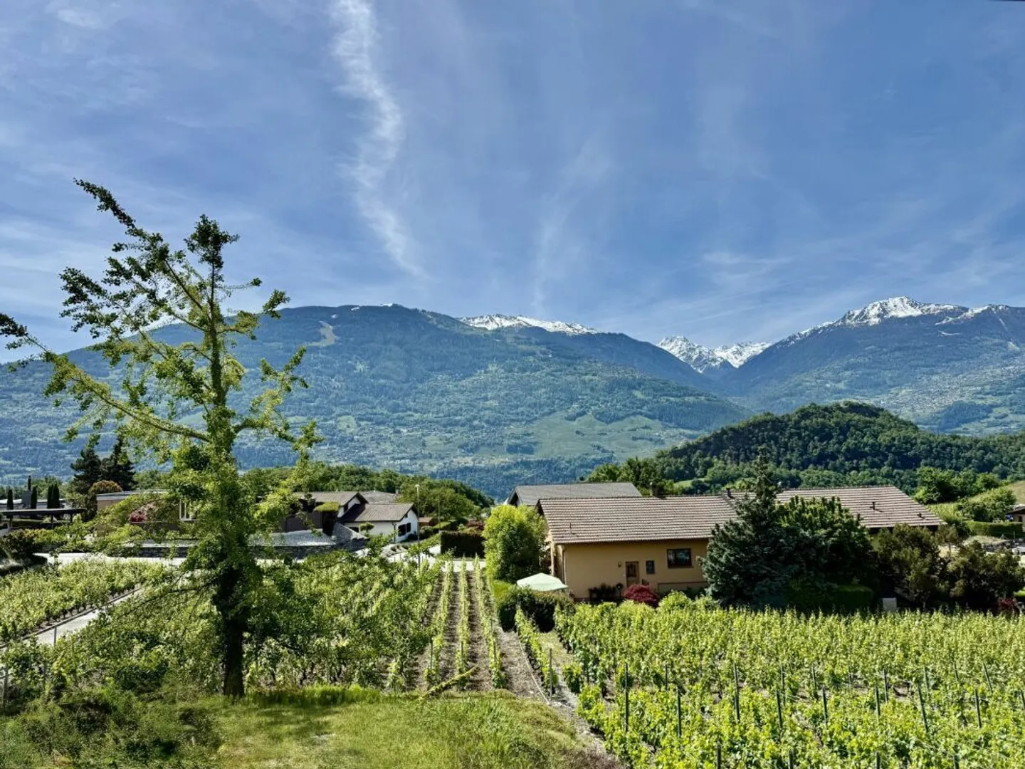 Family Villa for Sale in Savièse (Ormône) - Photo 6 of 7