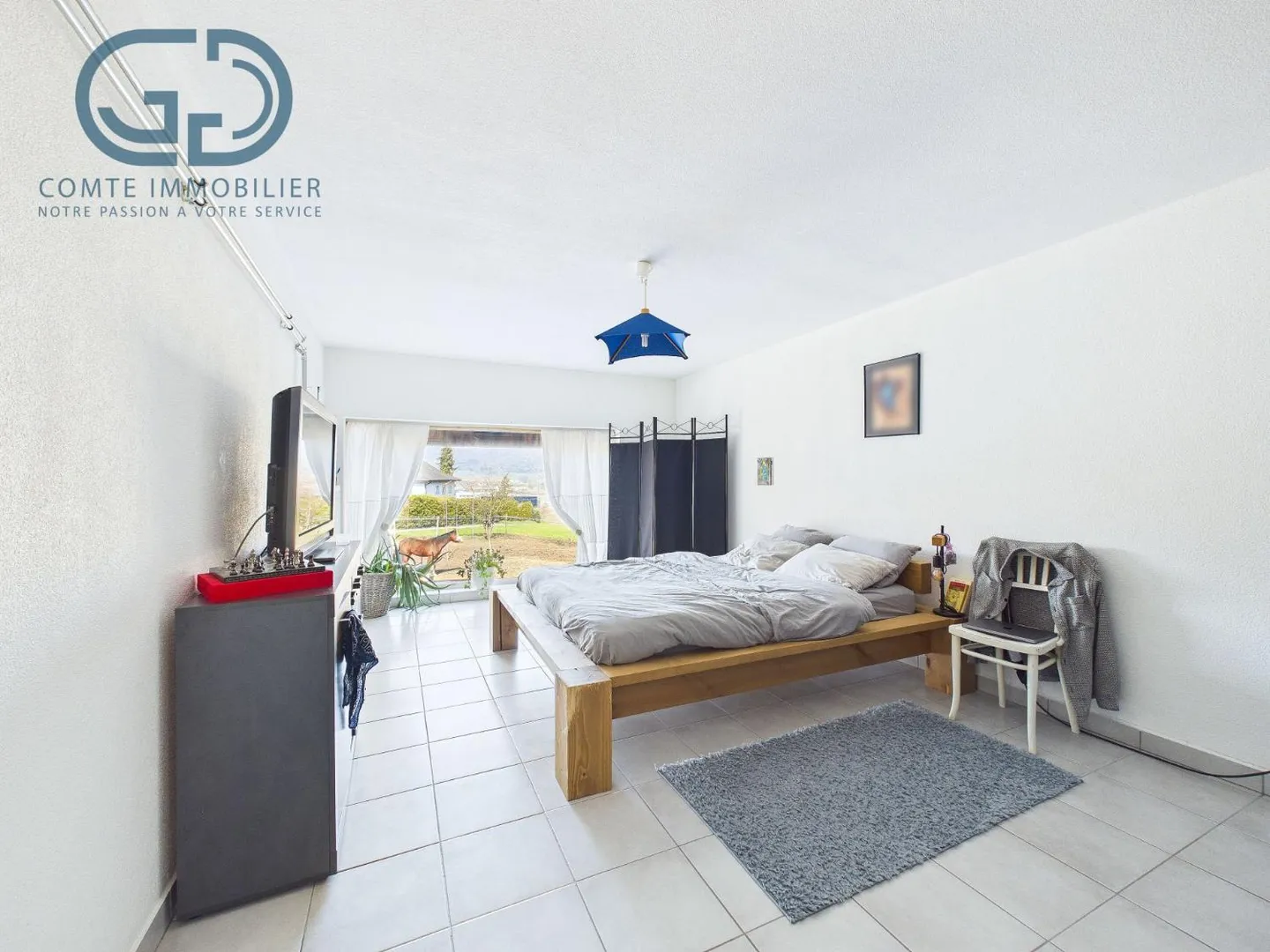 Building land 10 rooms - Photo 6 of 13