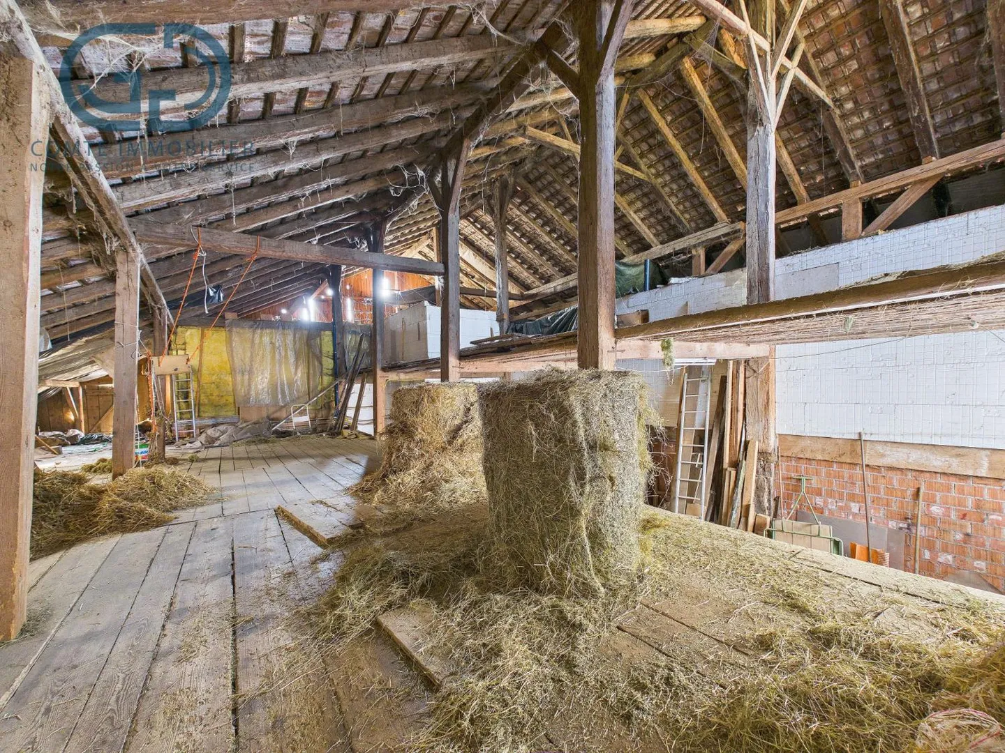 Building land 10 rooms - Photo 12 of 13