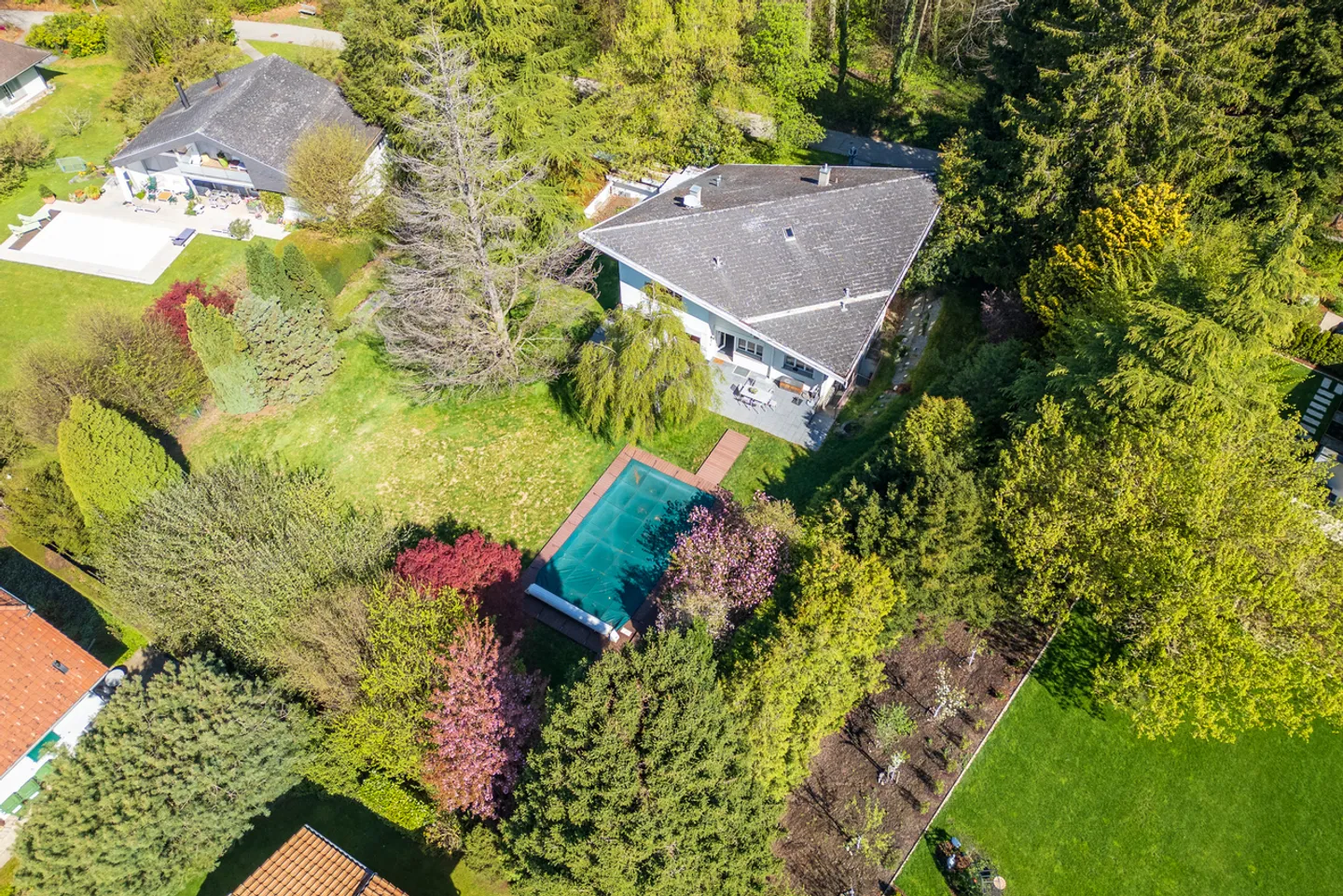 Villa familiare spaziosa con piscina ai margini della foresta - Foto 2 di 13