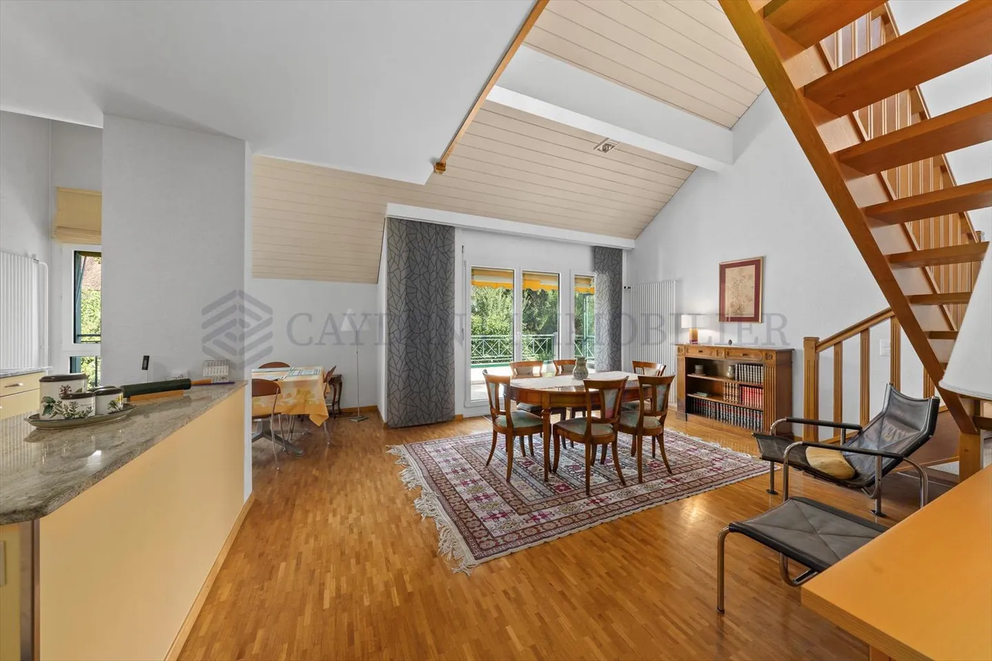 Magnifico Duplex con Vista sul Salève - Foto 4 di 10