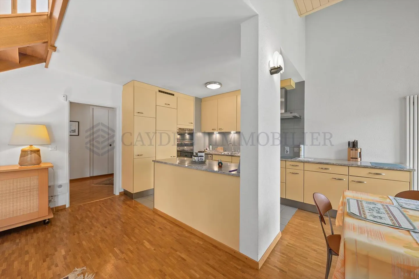 Magnifico Duplex con Vista sul Salève - Foto 5 di 10