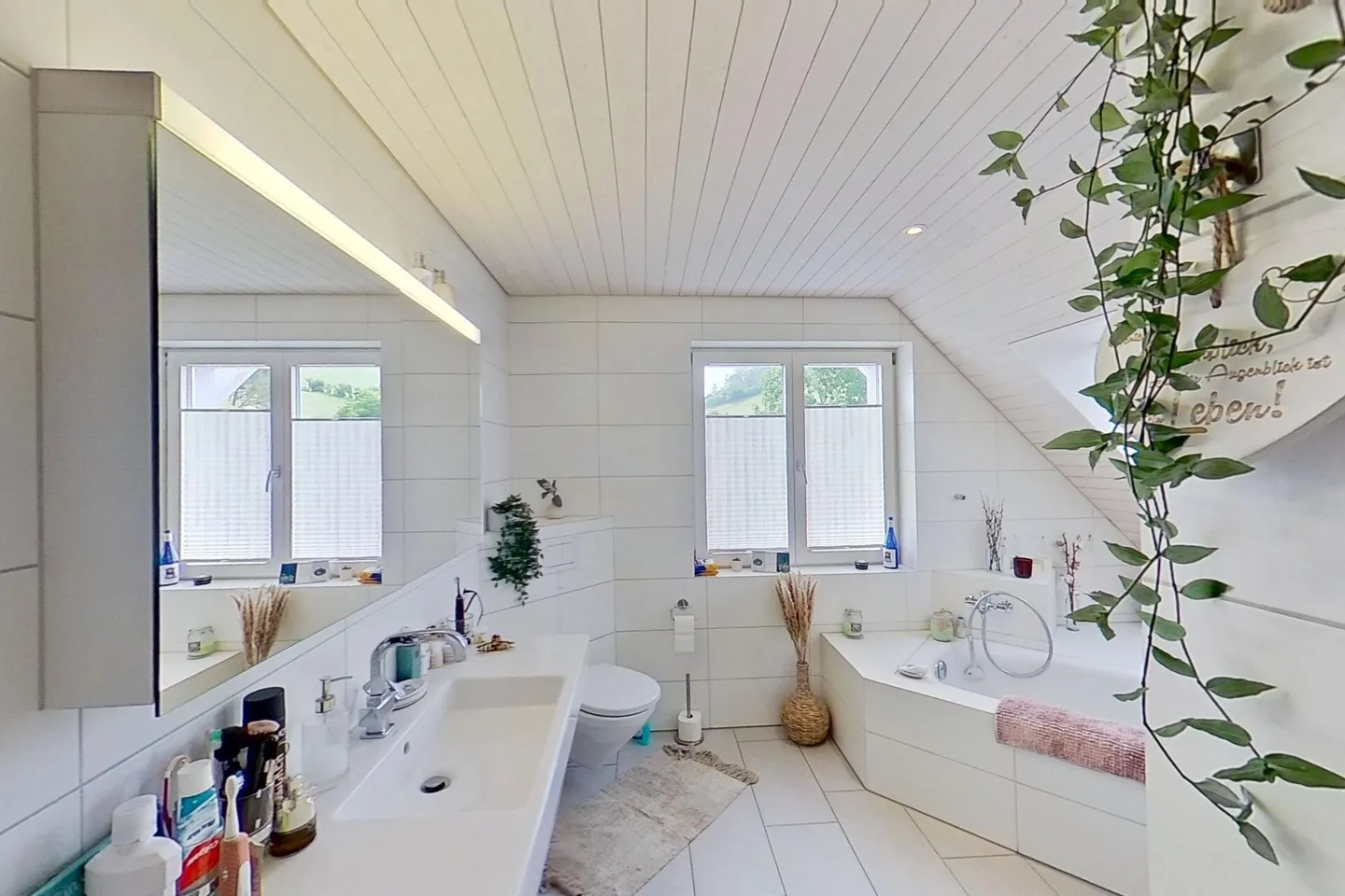 Panorama inclus - Maison moderne à deux familles avec vue sur le Säntis - Photo 16 sur 18