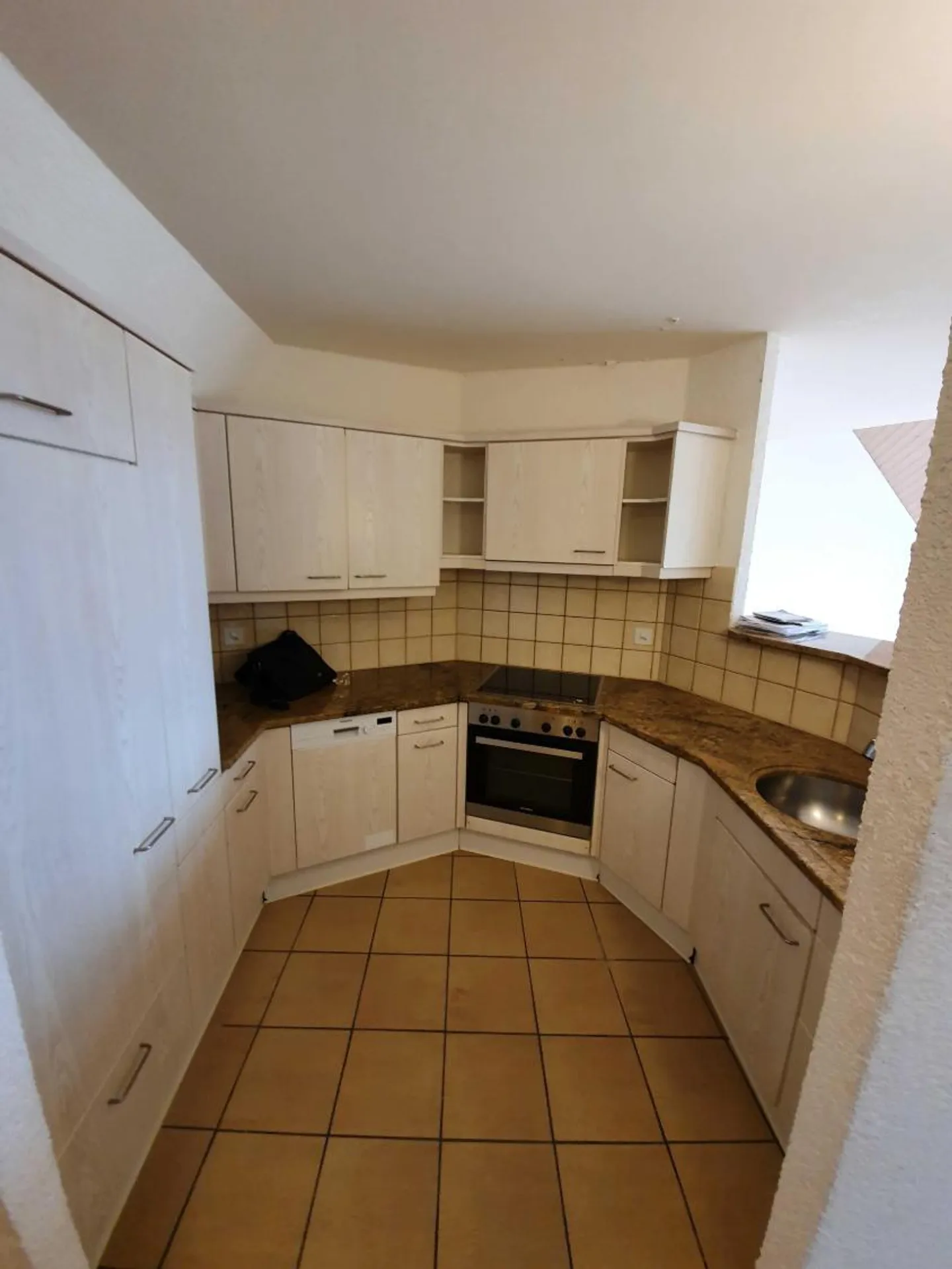 Appartamento 3.5 locali - Foto 3 di 6