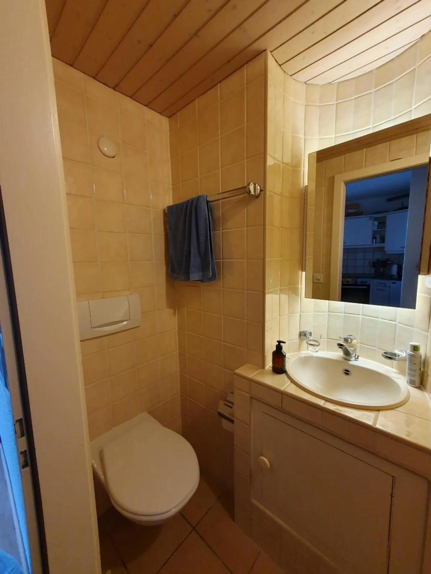 Appartamento 3.5 locali - Foto 6 di 6