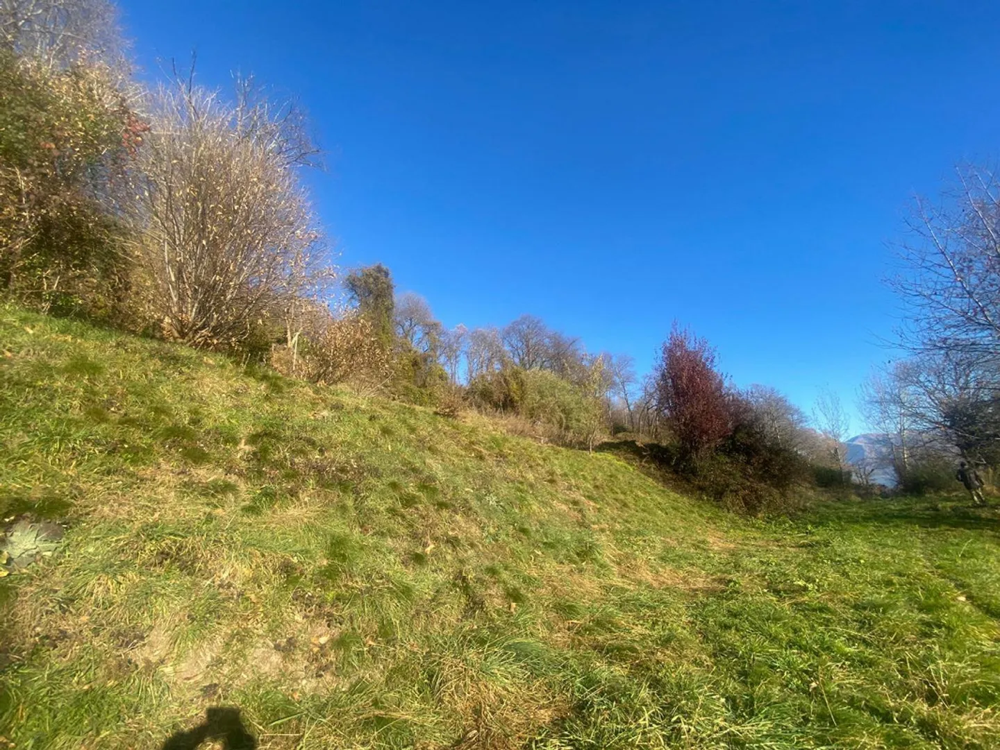 terreno di 1344 m2 edificabile ca. 900 m2. molto tranquilla, solegg... - Foto 1 di 10