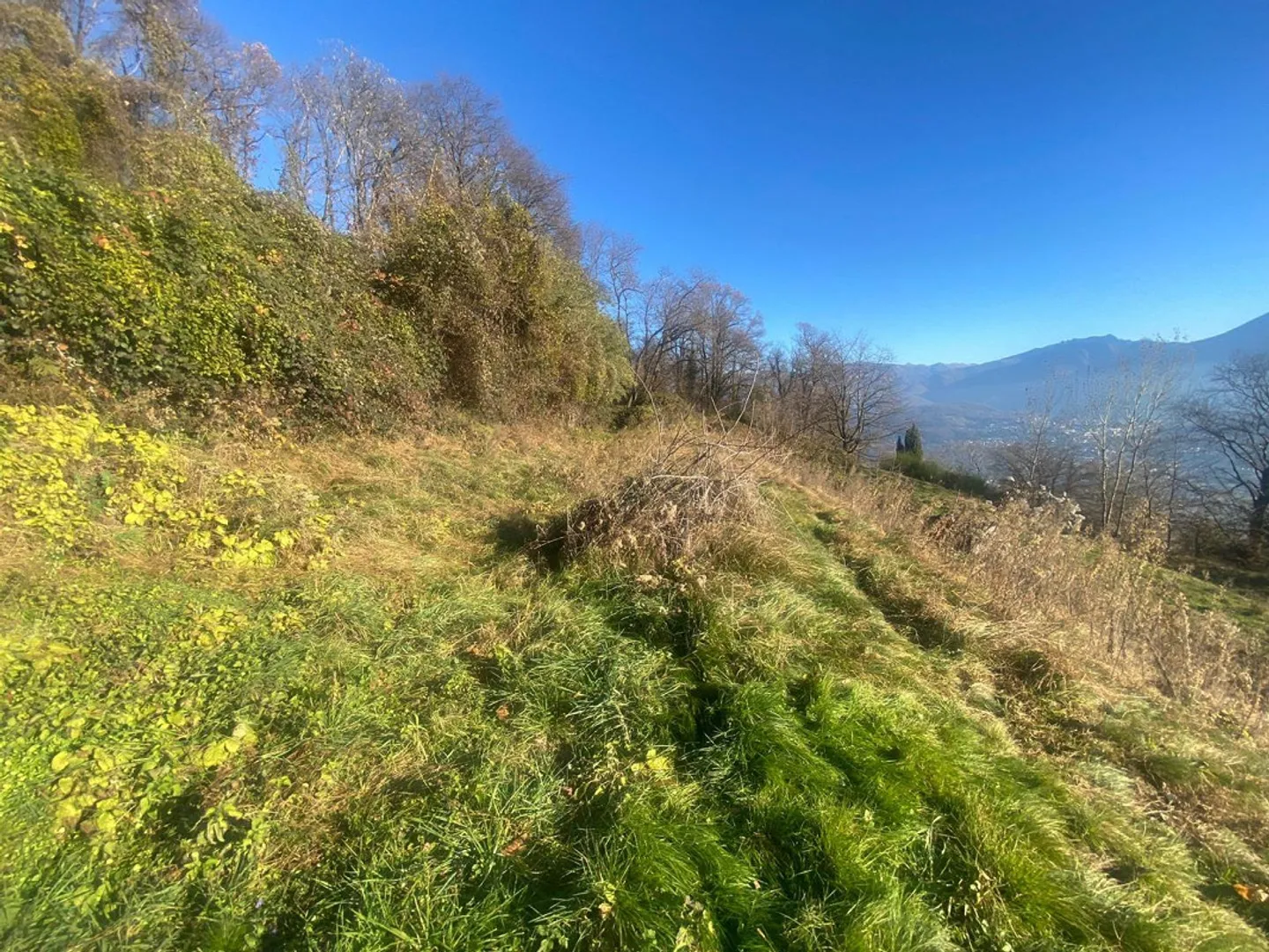 terreno di 1344 m2 edificabile ca. 900 m2. molto tranquilla, solegg... - Foto 3 di 10