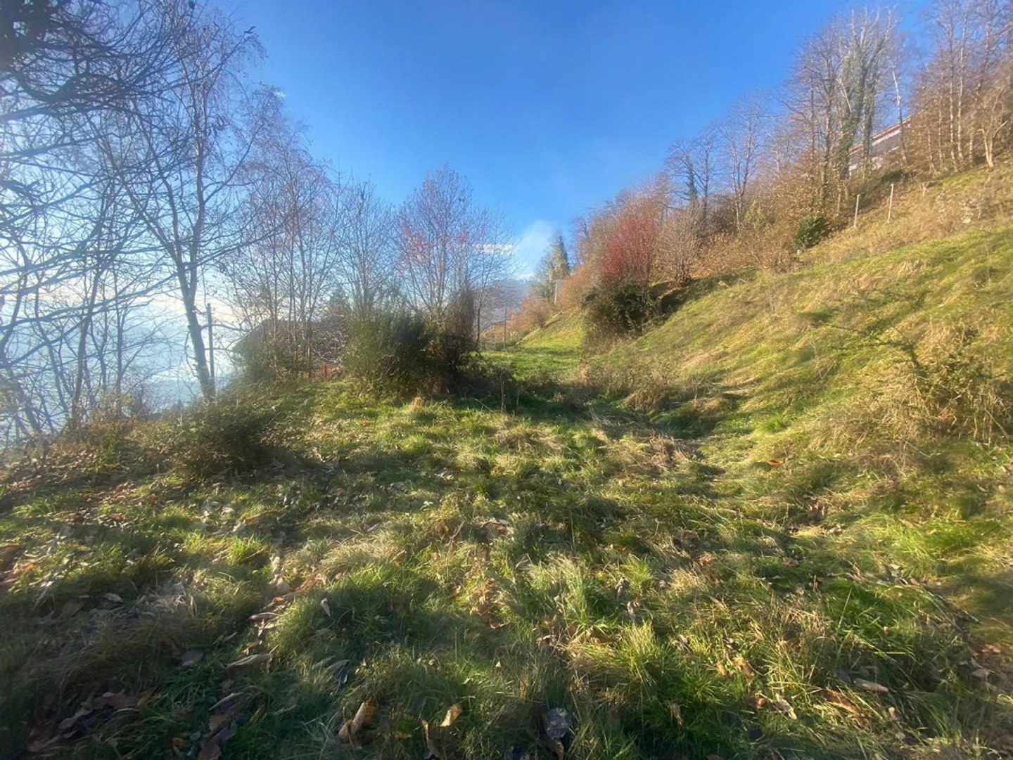 terreno di 1344 m2 edificabile ca. 900 m2. molto tranquilla, solegg... - Foto 7 di 10