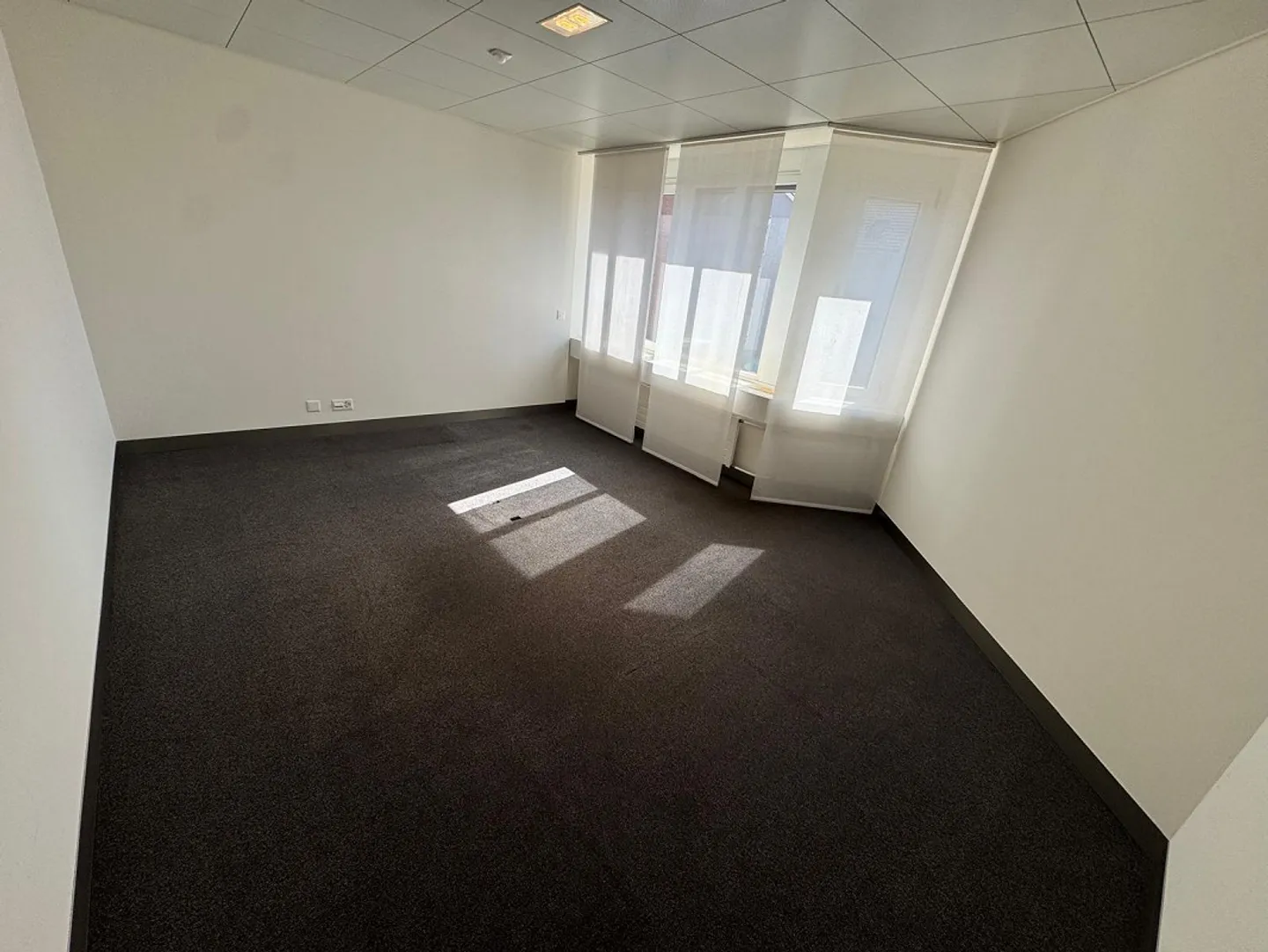Bürofläche in zentraler Lage - Foto 4 von 6