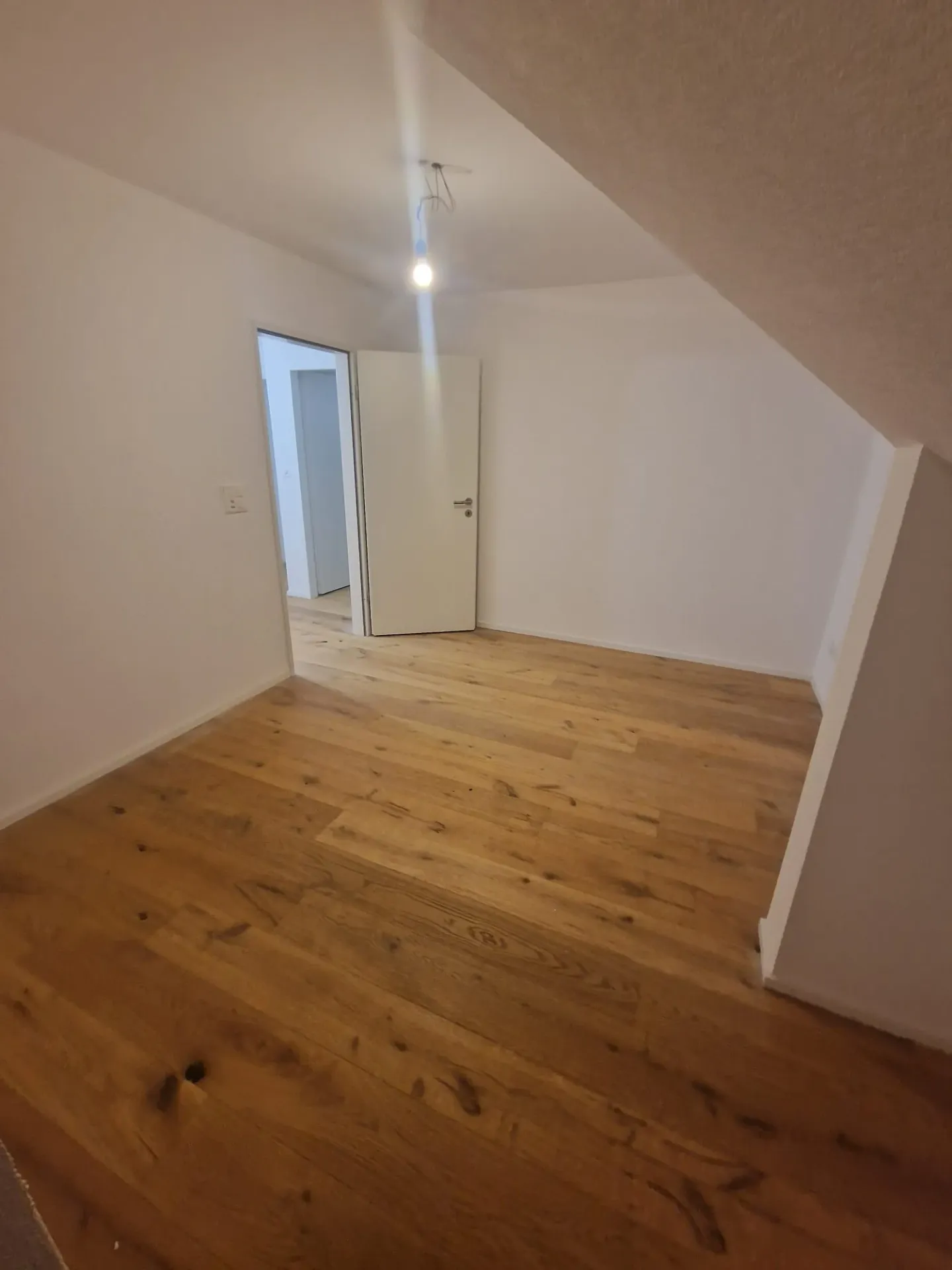 Completely Renovated Multi-Family House - Photo 13 of 18