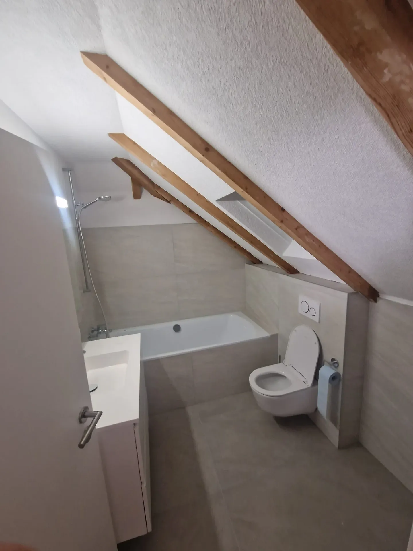 Completely Renovated Multi-Family House - Photo 17 of 18