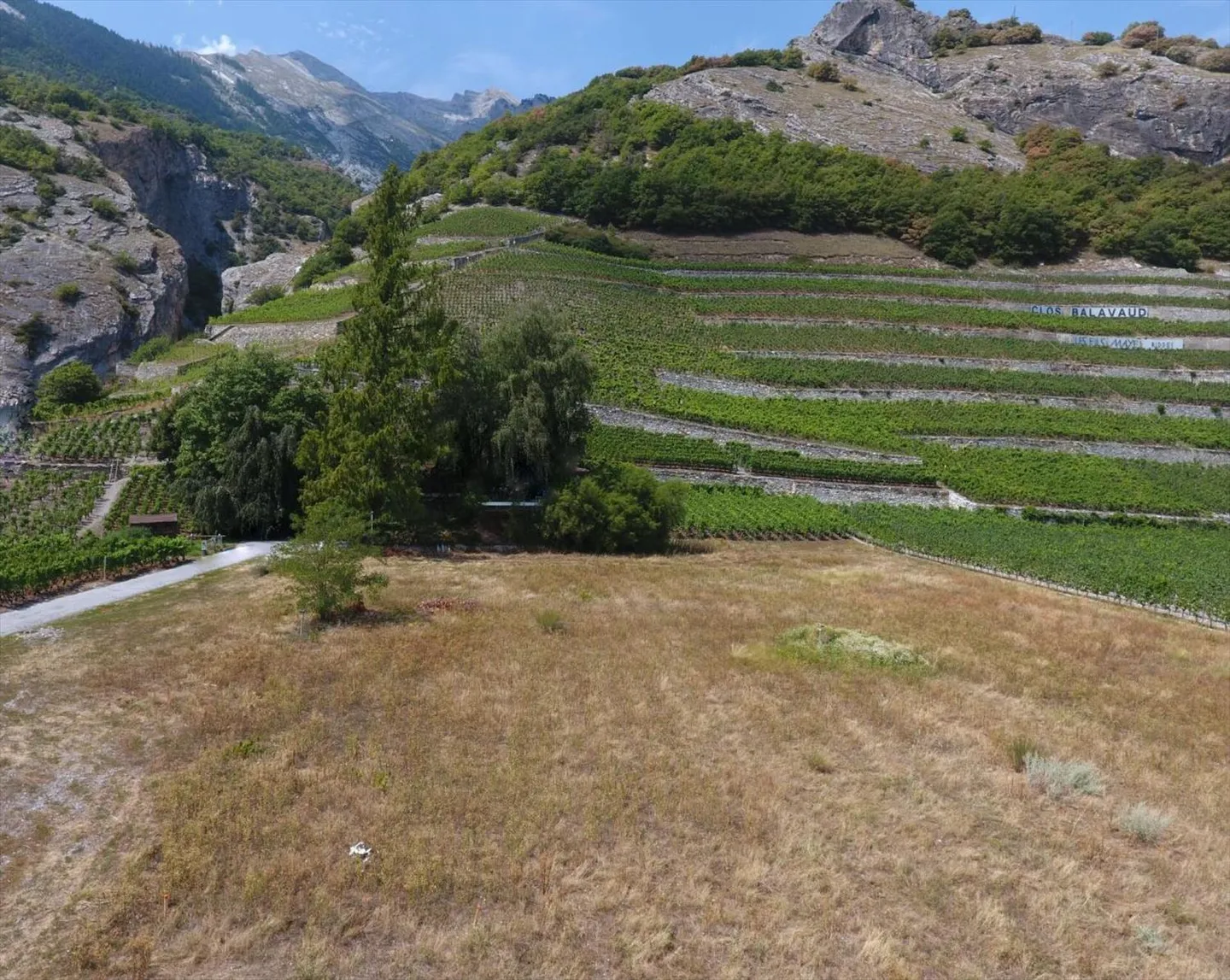 Land in Vétroz - Photo 2 of 4