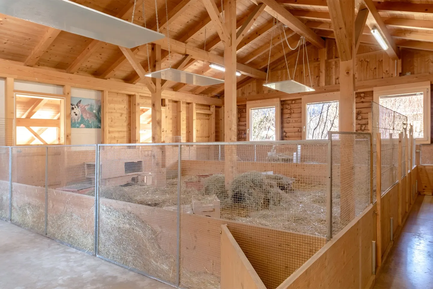 Spacious 7.5 Room Single-Family House with Surroundings - Photo 20 of 22