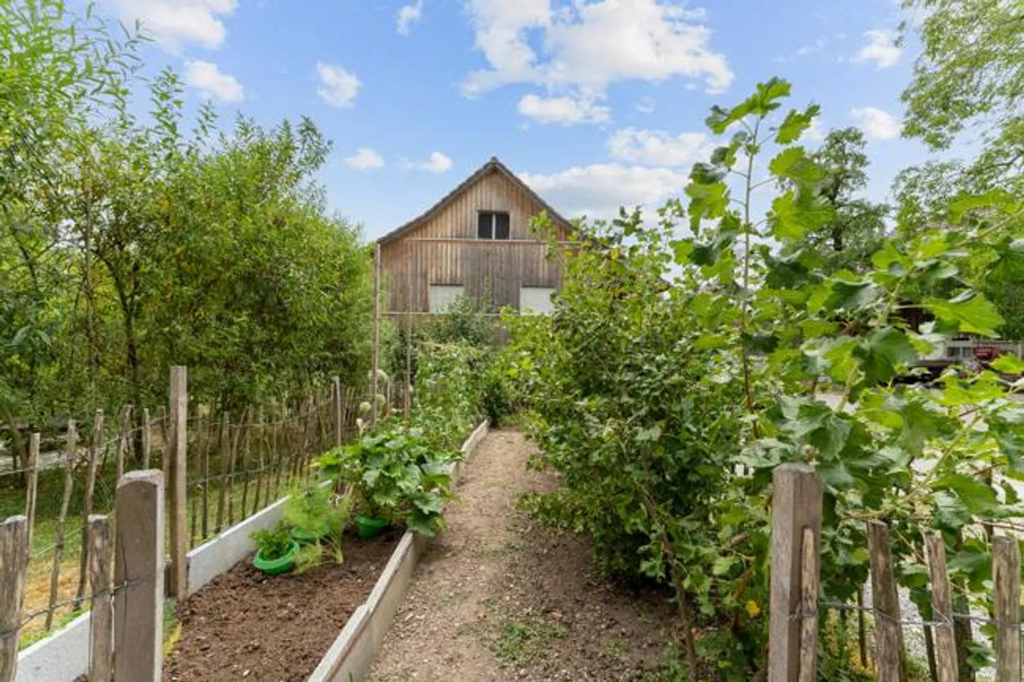 Converted farmhouse with studio - Photo 15 of 17